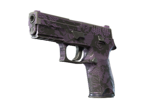 P250 | Plum Netting (Well-Worn)