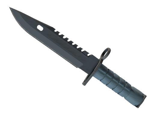 ★ M9 Bayonet | Night (Minimal Wear)